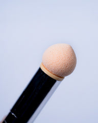 Ombre sponge