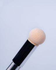 Ombre sponge